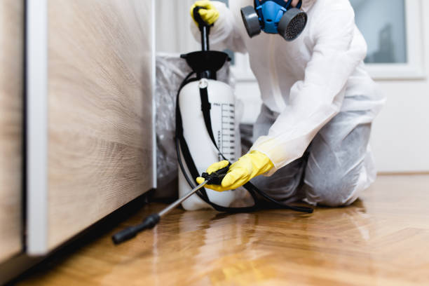 Insect Control in Ambridge, PA