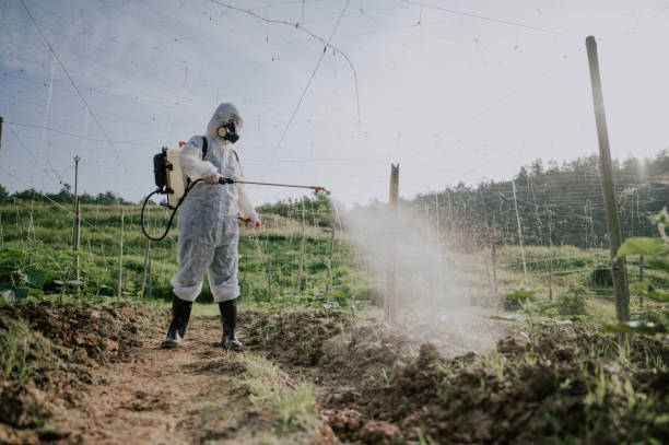 Best Local Pest Control Services  in Ambridge, PA