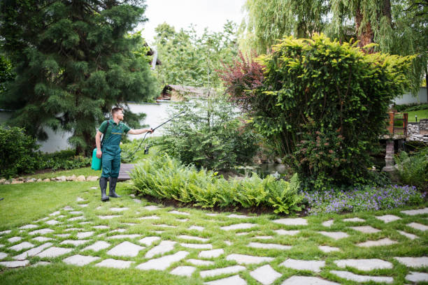Best Affordable Pest Control Services  in Ambridge, PA