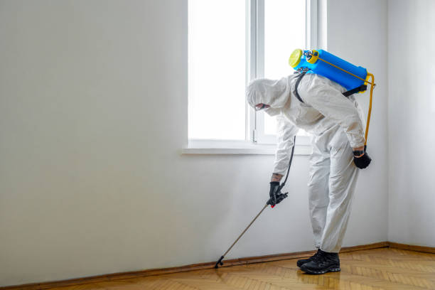 Best Affordable Pest Control Services  in Ambridge, PA